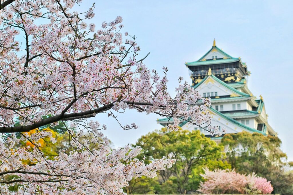 In the image, the iconic Osaka Castle stands in the background, its green - tiled roofs and white walls contrasting against the sky. In the foreground, cherry blossom branches heavy with delicate pink flowers add a touch of natural beauty. This picturesque scene relates to the "2025 Instagram Marketing Guide for Japan", hinting at the potential to use Japan's rich cultural and scenic elements in Instagram marketing to attract audiences.