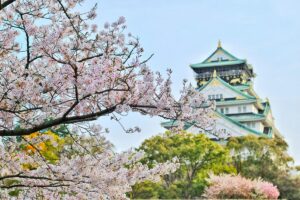 In the image, the iconic Osaka Castle stands in the background, its green - tiled roofs and white walls contrasting against the sky. In the foreground, cherry blossom branches heavy with delicate pink flowers add a touch of natural beauty. This picturesque scene relates to the "2025 Instagram Marketing Guide for Japan", hinting at the potential to use Japan's rich cultural and scenic elements in Instagram marketing to attract audiences.
