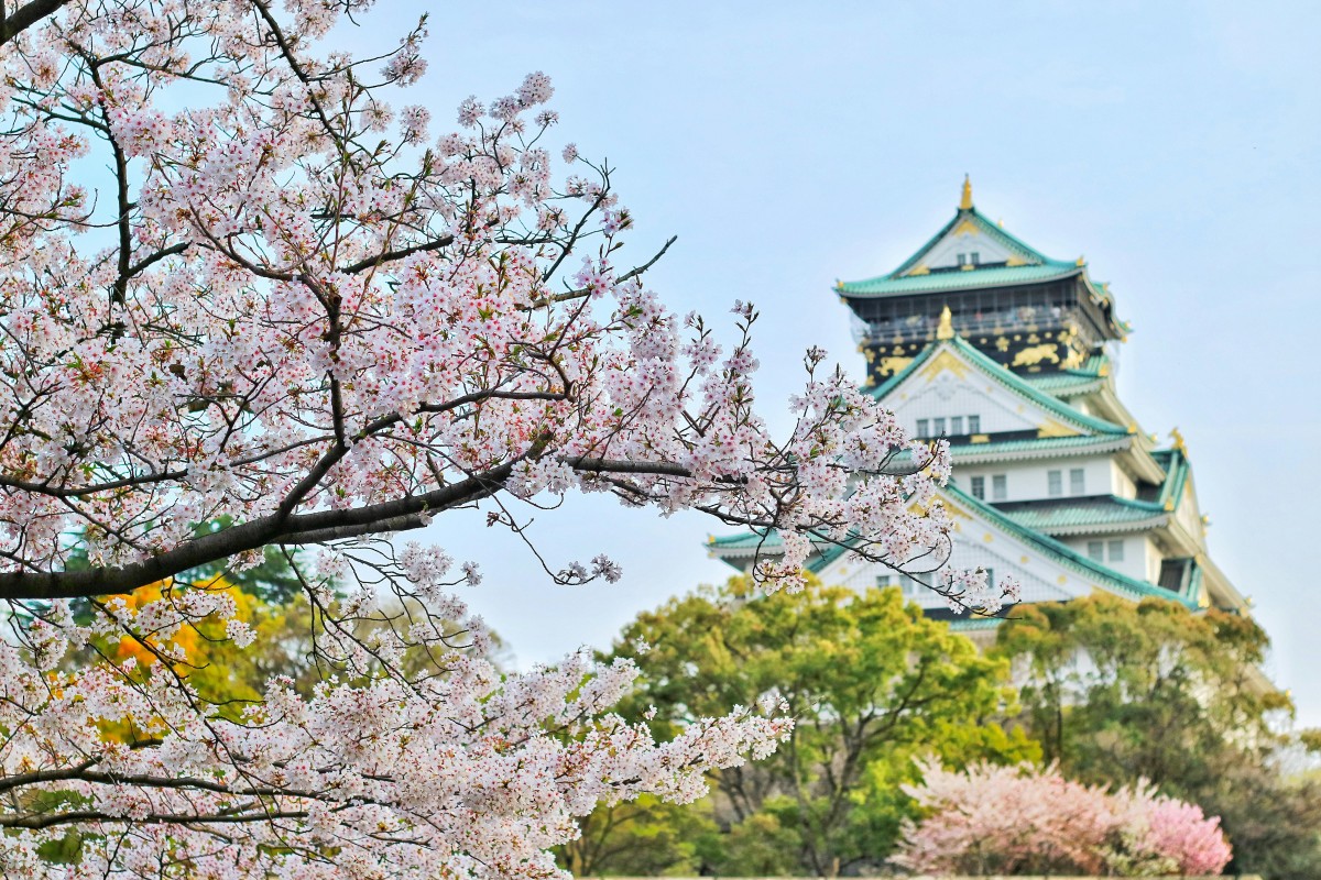 2025 Instagram Marketing Guide for Japan