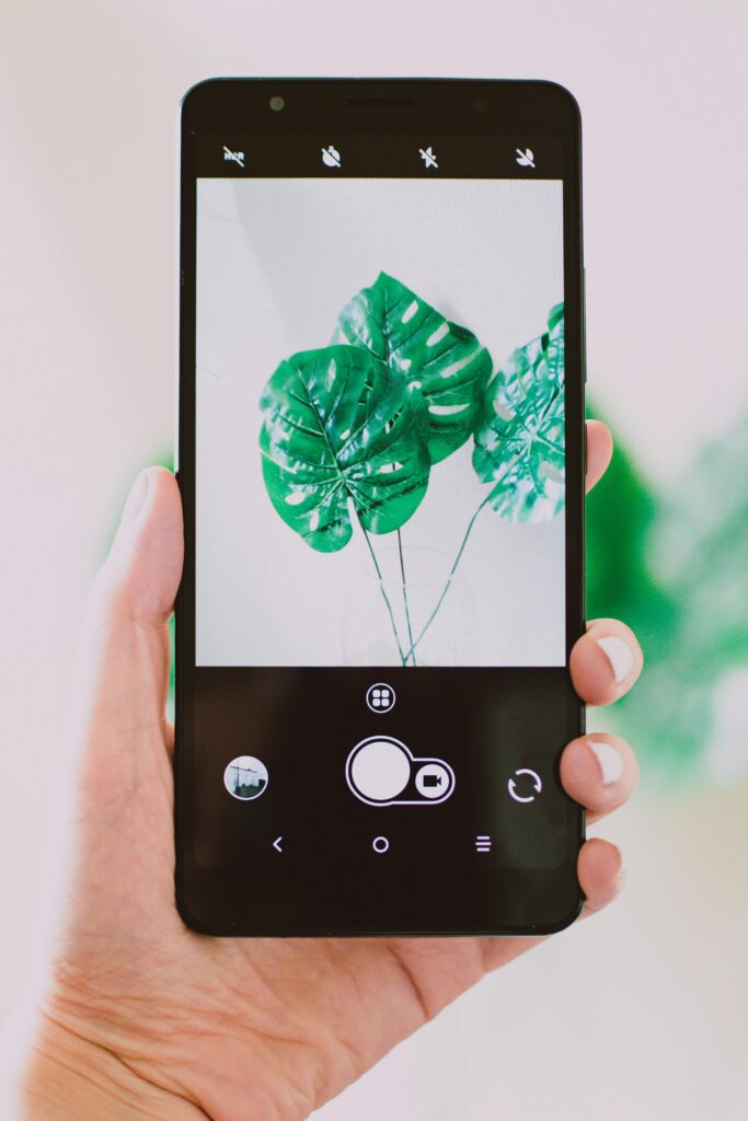 Seorang orang memegang ponsel dengan layar yang menampilkan foto daun hijau indah. Ini bisa menjadi inspirasi untuk foto - foto yang akan diposting di Instagram.