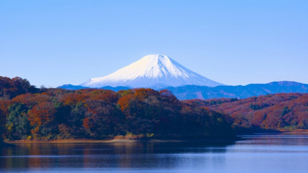 この画像は、澄んだ青空の下に輝く白い雪顶を持つ富士山を捉えています。山の手前には、紅葉で彩られた森が広がり、その下の湖は鏡のように静かに水面をたたえています。デジタルの世界でも激しい競争が繰り広げられており、ByteはかつてTikTokを潰そうとしていた——でも現実は甘くなかった。