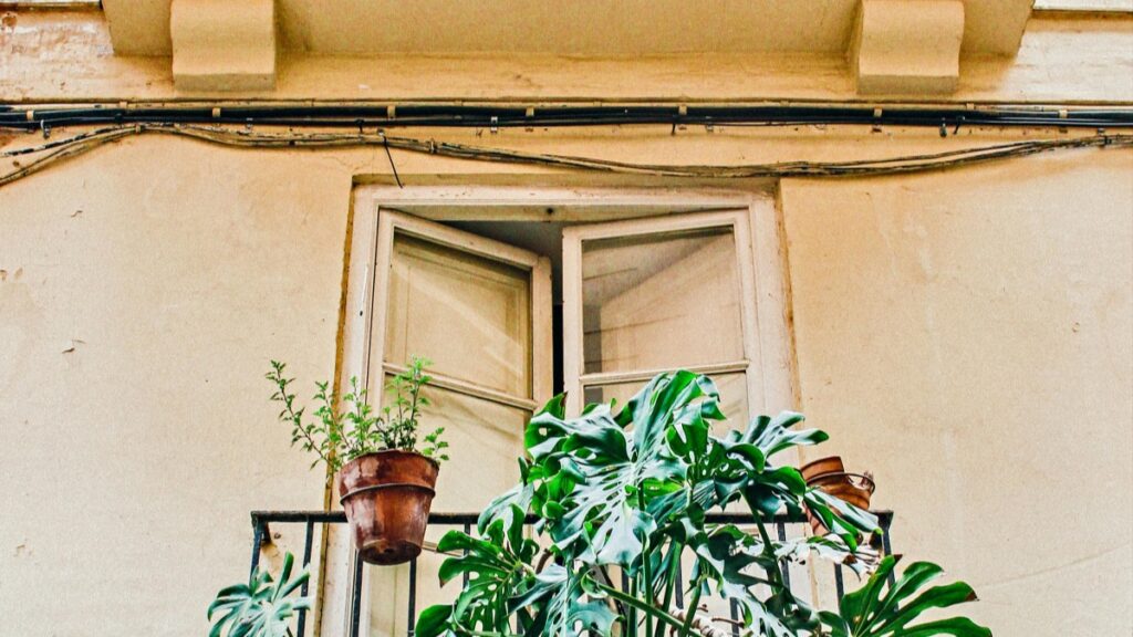 Una vista de una ventana abierta en una pared de un edificio. La pared es de color beige y muestra una apariencia un poco desgastada. En el balcón, hay una maceta con una planta herbácea y una monstera con hojas grandes y exuberantes. Además, descubre "Cómo Ganar Dinero en Snapchat Abre la Puerta a tus Ingresos" para aprovechar al máximo tu potencial de ingresos en las redes sociales.