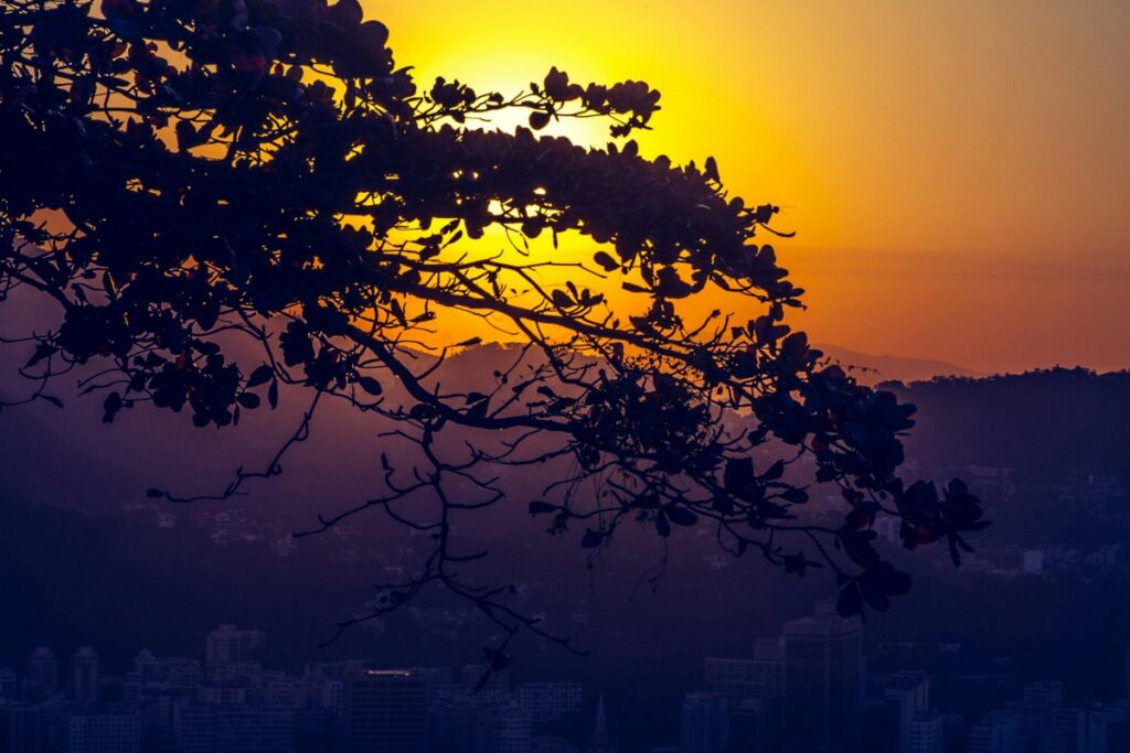 Esta imagem captura um pôr - do - sol impressionante, com o sol banhando o céu de tons amarelos e laranja - escuros. As silhuetas da árvore com suas folhas e a cidade no fundo, com seus prédios, dão uma sensação de harmonia entre a natureza e a urbanização. No contexto do marketing digital, a pergunta “Como Usar o KWAI para Marketing no Brasil” ganha destaque. O KWAI pode ser uma ferramenta poderosa para alcançar o público local, mostrando belas imagens como esta e criando conexões emocionais com os consumidores.