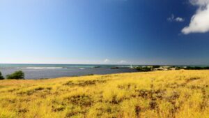 A serene landscape featuring golden grass stretching towards the ocean under a clear blue sky. The tranquil sea meets the horizon, with a few clouds adding depth to the scene. Just as this peaceful view offers a sense of vast opportunity, "How American Brands Can Hack China’s Social Commerce via Rednote (Xiaohongshu)" presents American brands with the chance to explore and capitalize on the expansive potential of China's social commerce landscape.