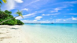 A stunning tropical beach scene with powdery white sand, clear turquoise waters, and a leaning palm tree amidst lush greenery. The bright blue sky dotted with fluffy clouds and a distant ship on the horizon complete this idyllic coastal view. Plus, discover practical tips on How to Make Money on Instagram (in the Real World, Not in Theory)