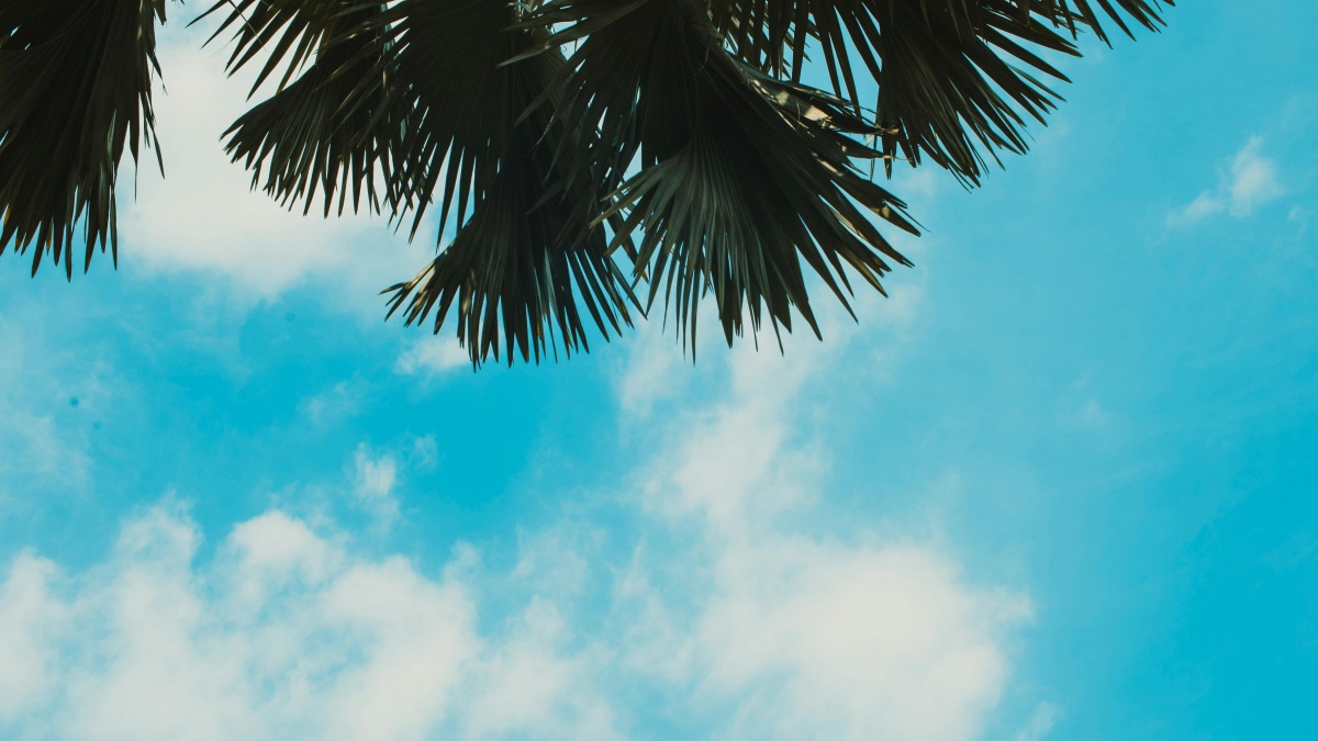 💸 Làm sao kiếm tiền với Instagram tại Việt Nam?