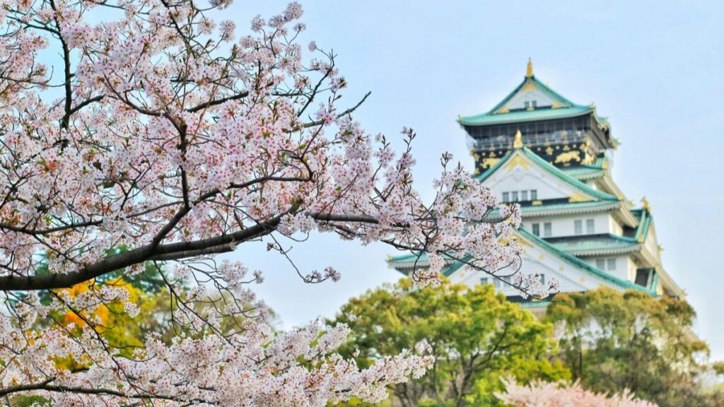 桜の花が満開の枝が前景にあり、背景には大阪城の華やかな姿が見えます。大阪城の白と緑、金の装飾は、桜の淡い色と対照的に美しく映えています。このように自然と歴史的建造物が調和した風景は、時の移ろいを感じさせます。同じように、 “さようなら！Skypeは2025年5月5日にサービスを終了します” という知らせは、デジタル通信の世界における時代の終わりを告げています。新しい技術やサービスへの移行を迫られることを意味し、私たちには新しい道を模索する必要があります。