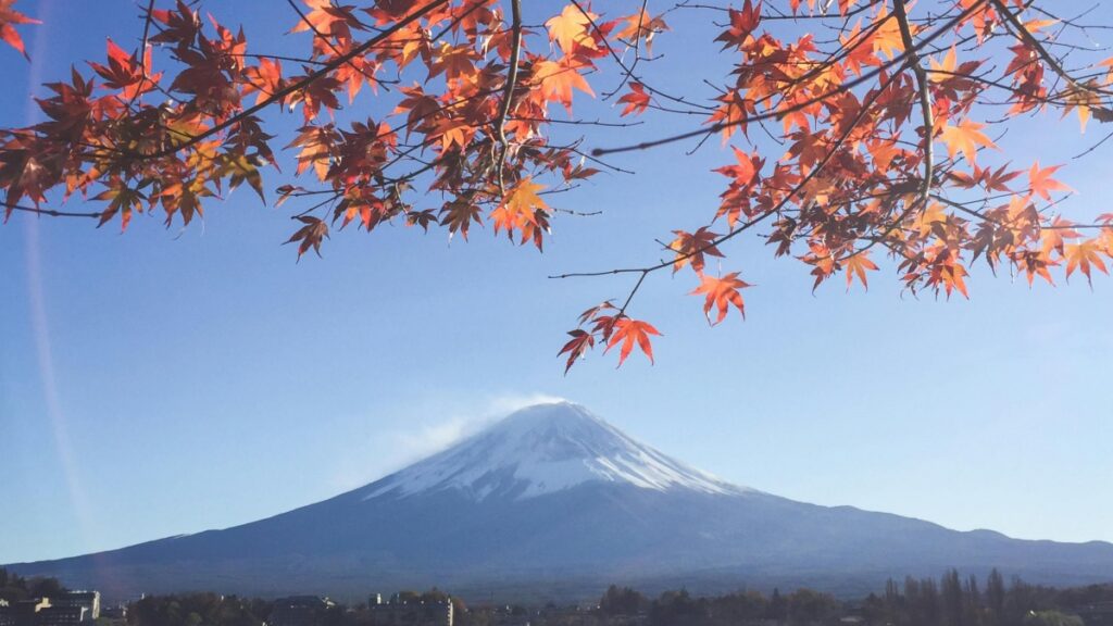 紅葉の枝が前景にあり、その向こうには雪を頂いた富士山が輝く景色です。この美しさの中で、一つの疑問が浮かぶ。なぜFacebookは「Lasso」アプリを終了したのか？