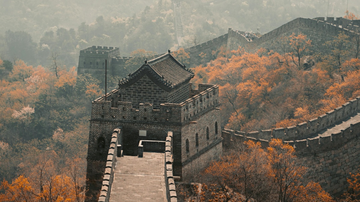 如何在印度利用 Moj Lite 进行业务营销