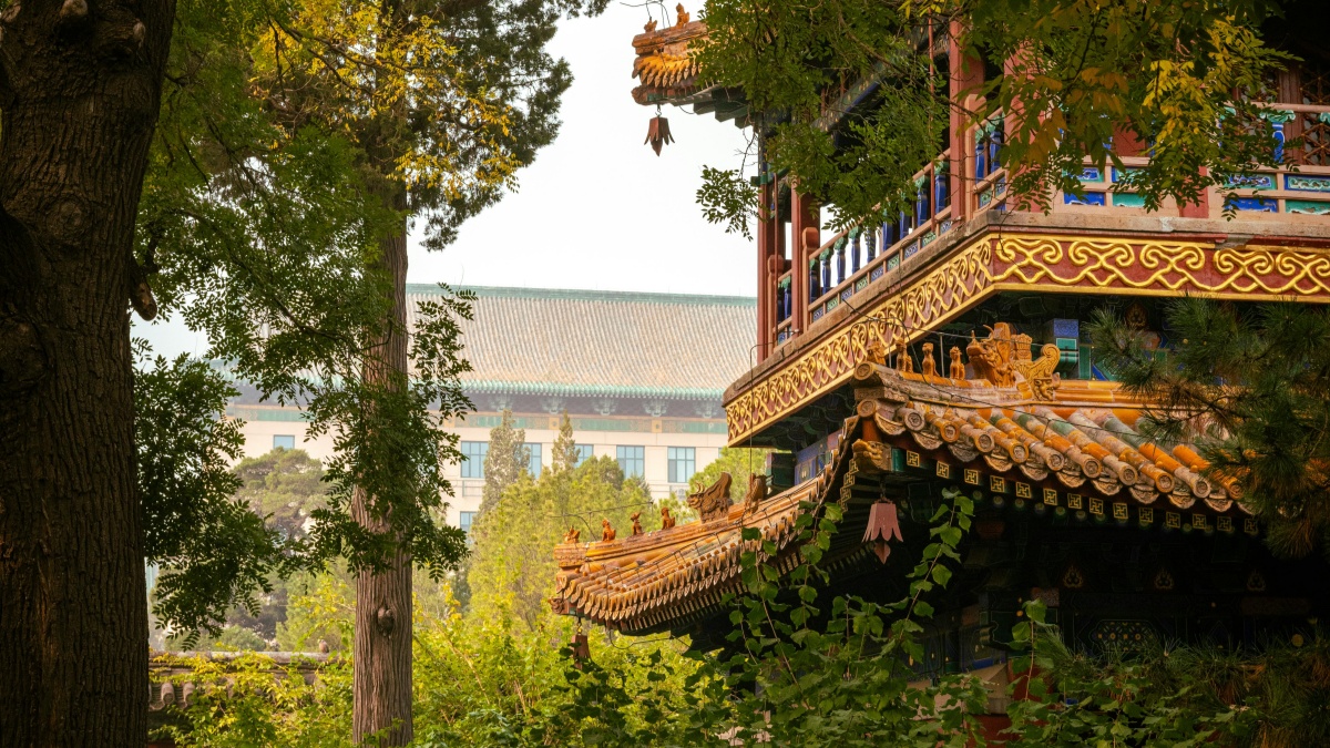如何在Telegram上赚钱：开启新机会的大门 🚀