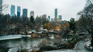 A serene winter scene in a city park, with a partially frozen lake, winding paths, and a mix of leafless and autumnal - hued trees. In the background, modern skyscrapers rise against a muted sky. This image relates to the 2025 Charging Standards for Signal Influencer Promotions in the U.S., highlighting a picturesque urban - nature blend relevant to influencer marketing.