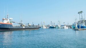 A vibrant harbor scene with several boats docked in calm blue waters under a clear sky. Palm trees and the masts of the boats add to the picturesque maritime setting. This image relates to the 2025 Charging Standards for Twitter Influencer Promotions in the U.S., capturing a serene and visually appealing location relevant to influencer marketing initiatives.