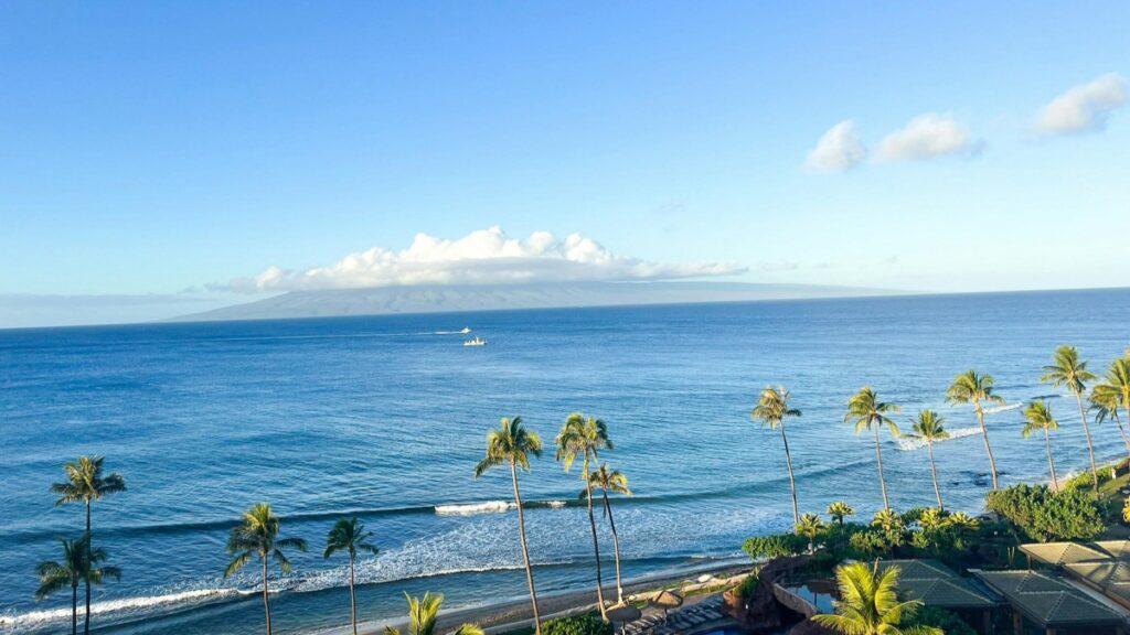 A beautiful coastal view under a clear blue sky, with the vast ocean stretching to the horizon. Palm trees line the shore, and gentle waves lap against the beach. In the distance, a small boat sails on the water. This image is associated with the 2025 Charging Standards for Vigo Videor Influencer Promotions in the U.S., showcasing a serene and picturesque seaside setting relevant to influencer marketing.
