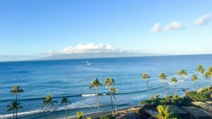 A beautiful coastal view under a clear blue sky, with the vast ocean stretching to the horizon. Palm trees line the shore, and gentle waves lap against the beach. In the distance, a small boat sails on the water. This image is associated with the 2025 Charging Standards for Vigo Videor Influencer Promotions in the U.S., showcasing a serene and picturesque seaside setting relevant to influencer marketing.