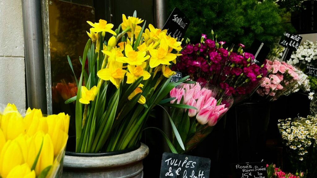 Un vibrant assortiment de fleurs en vente, avec des jonquilles jaunes éclatantes, des tulipes roses et des carnations pourpres. Les panneaux d'affichage indiquent les prix. Cette image de beauté florale est en accord avec les 2025 Standards de Tarification pour les Collaborations avec des Influenceurs sur Moj en France.