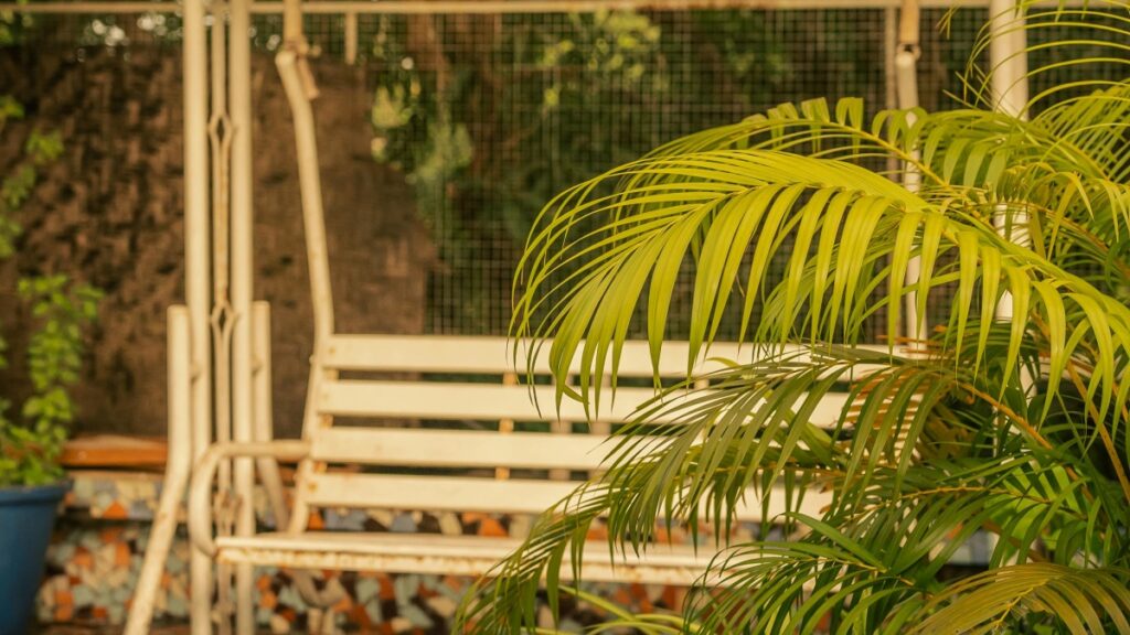 Gambar ini menunjukkan suasana luar ruangan yang tenang dengan bangku kayu yang terlihat sedikit berkarat dan dedaunan tanaman palm yang hijau cerah. Suasana ini menawarkan keheningan dan kenyamanan. Selain itu, bagi yang tertarik dengan Bisnis kolaborasi, tahun 2025 bisa menjadi momen untuk mengeksplorasi Biaya Kolaborasi dengan Influencer VKontakte di Indonesia. Ini bisa menjadi langkah strategis untuk memasarkan produk atau layanan kepada audiens yang lebih luas.