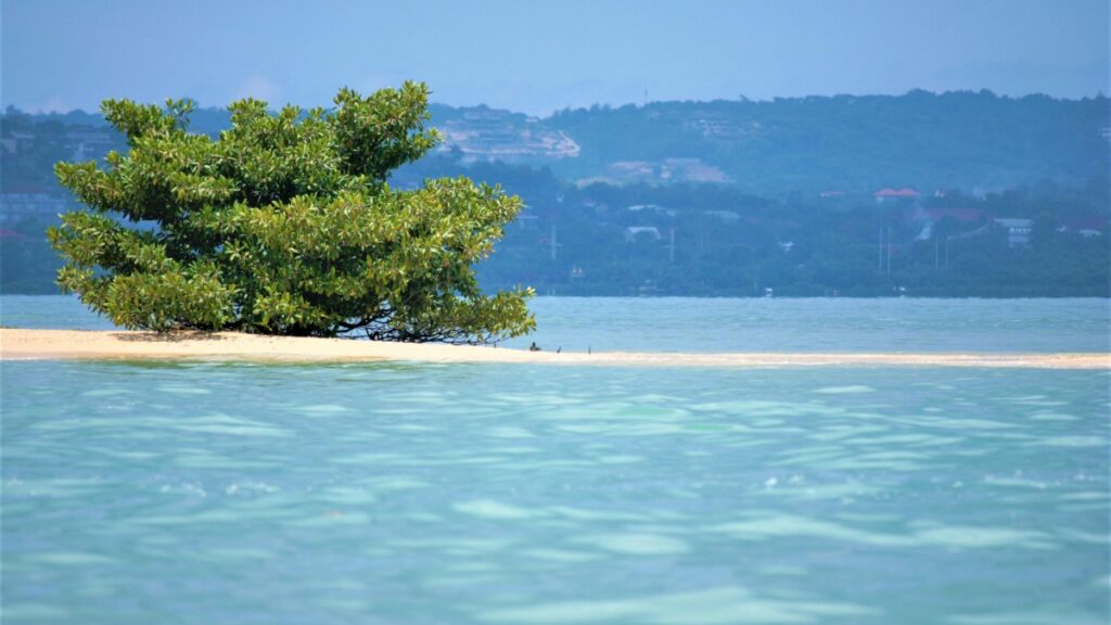 Gambar ini menunjukkan sebuah pulau kecil yang dikuasai oleh pohon berdaun hijau yang subur. Pulau itu berada di tengah danau dengan air yang jernih dan berwarna biru muda. Di latar belakang, terdapat gunung - gunung yang ditutupi oleh hutan dan beberapa bangunan yang terlihat dari kejauhan. Selain itu, temukan juga "Cara Mendapatkan Uang di Telegram" untuk mengoptimalkan potensi penghasilan melalui platform社交媒体.