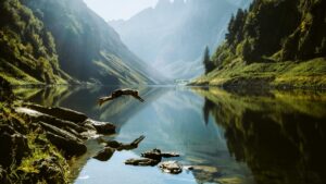 Una escena impresionante de un lago rodeado de montañas empinadas y cubiertas de verdor. La superficie del lago es tan calma que refleja perfectamente la belleza de los alrededores. Un individuo está en pleno salto hacia el agua desde la orilla, donde hay rocas y vegetación. Descubre más sobre Cómo Ganar Dinero a través de WhatsApp Consejos Prácticos.