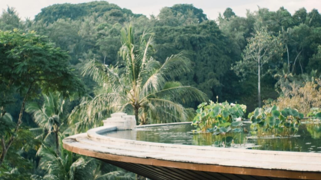 Taman dan kolam renang yang indah, dikelilingi oleh pohon - pohon tropis yang subur. Standar Biaya Kerja Sama Influencer di Kwai 2025 di Indonesia telah menjadi perhatian banyak bisnis, karena platform tersebut semakin populer dan memiliki potensi audiens yang luas untuk promosi produk dan layanan.