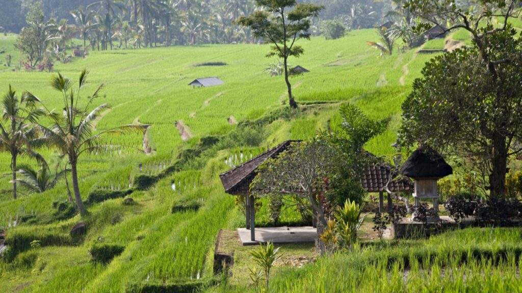 Standar Biaya Kerja Sama Influencer di LINE 2025 di Indonesia
