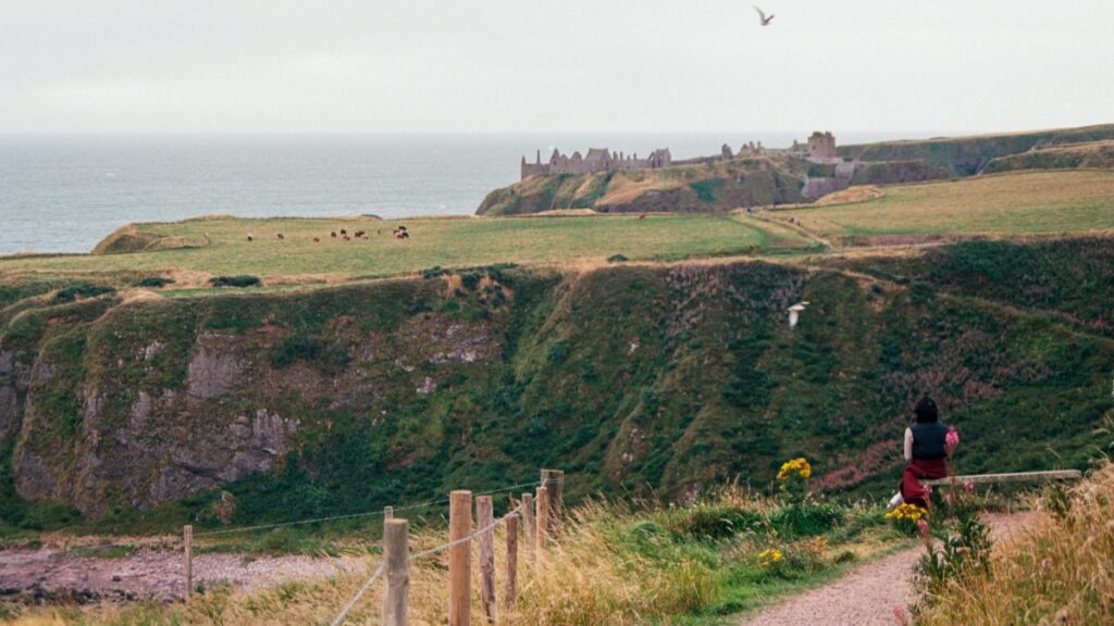 Un magnifique paysage côtier avec des falaises verdoyantes, une personne assise sur un banc contemplant la vue, des moutons paissant dans les champs et un château ruiné au loin. Découvrez les tarifs de collaboration avec les influenceurs Dubsmash en France en 2025.