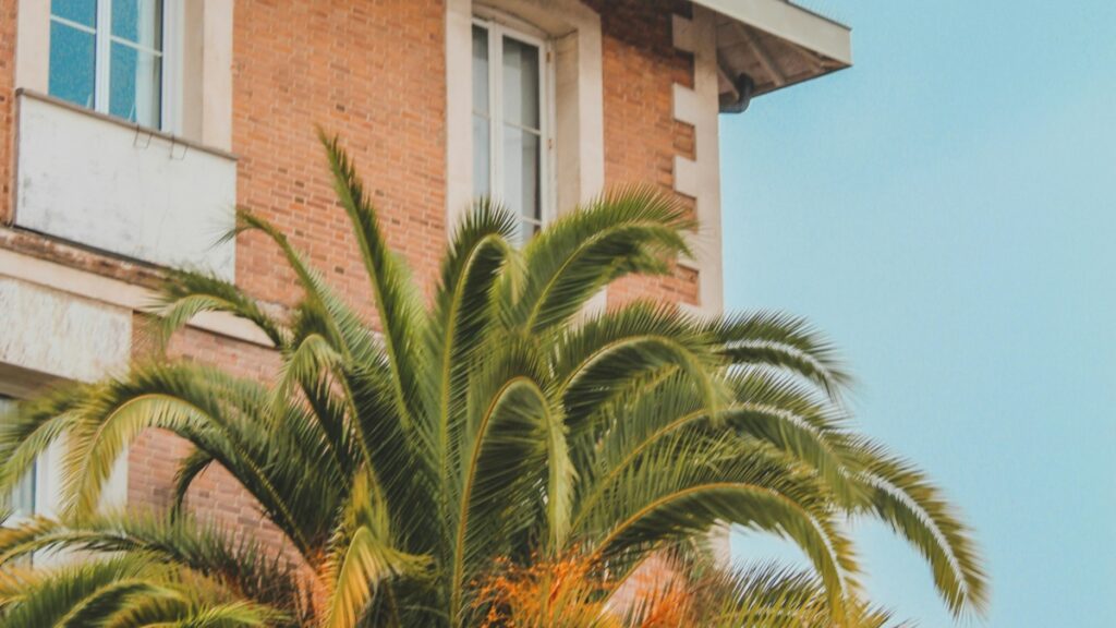 Esta imagen muestra una edificación de ladrillo rojo con ventanas y un balcón, contrasta con una palmera en el primer plano. El cielo azul en el fondo agrega un toque de calma. Para los interesados en el mercado español, la guía "¿Qué países utilizan principalmente Viber Un análisis para el mercado español" ofrece información valiosa sobre el uso de Viber en diferentes países y su impacto en España.