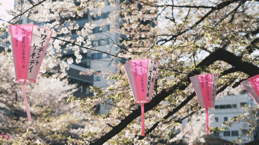 桜の木の下に、ピンク色の提灯がぶら下がっています。提灯には「ワイワイケネディ」や「TOKYO」といった文字が書かれており、春の明るい雰囲気を盛り上げています。2025年日本Likeeインフルエンサー推奨協力料金基準は、このような日本の季節感と現代のソーシャルメディア事情を反映し、インフルエンサー活動の経済的側面を示しています。