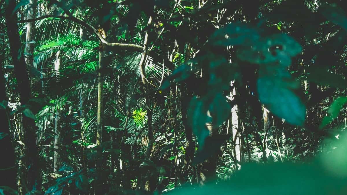 Top 10 YouTube Influencers You Should Collaborate With in Malaysia
