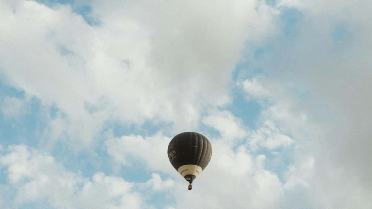 US Marketers: Find Hungary HBO Max Creators Fast