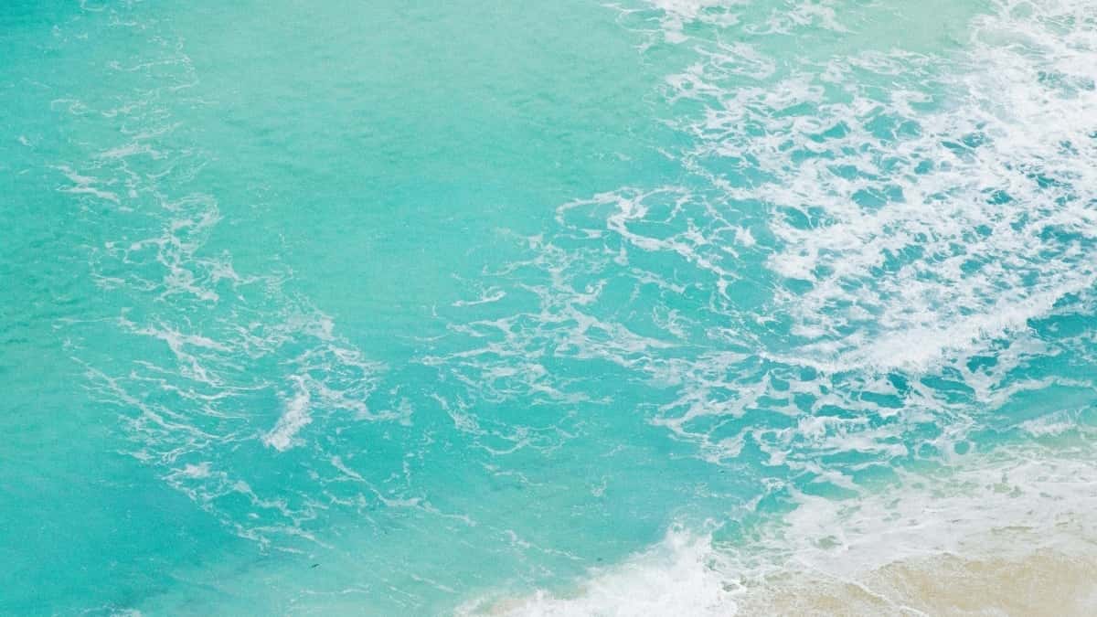 US Creators: Reach Hungary Brands on ShareChat Fast