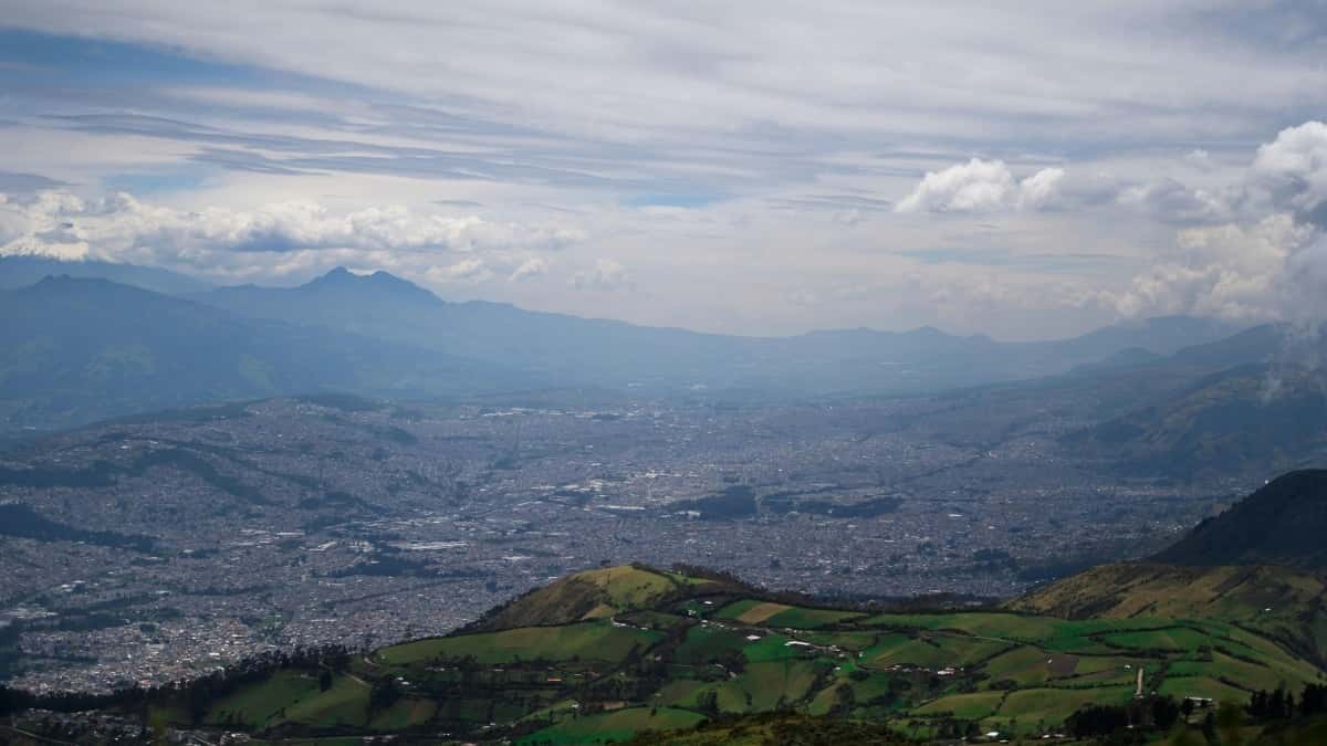 US Creators: Pitch Peru Brands on Twitter, Win Trust