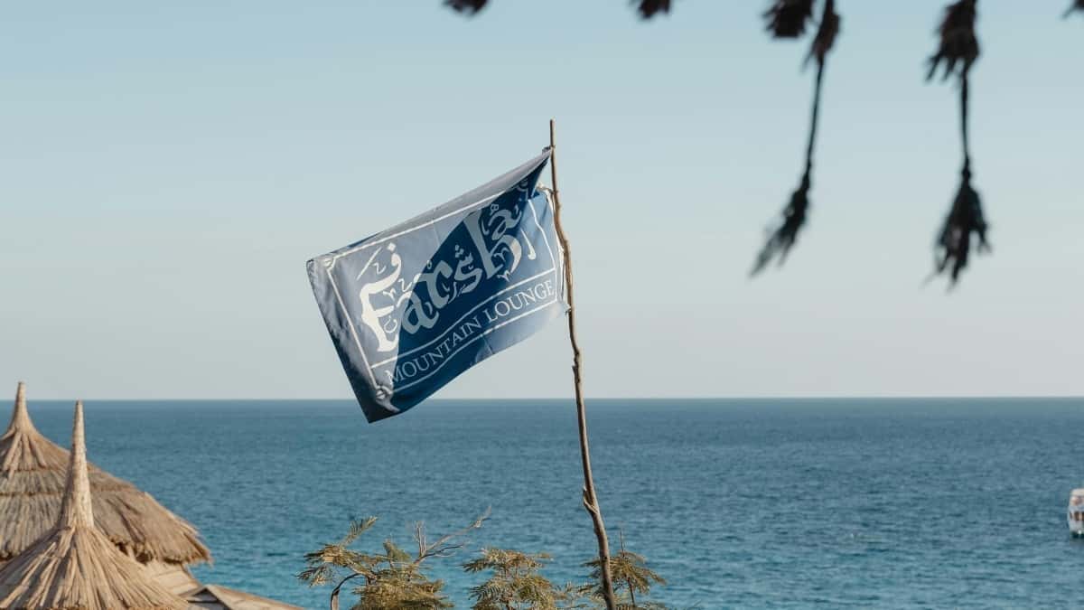 US Brands: Find Spain Josh Creators Fast (Health Supplements)