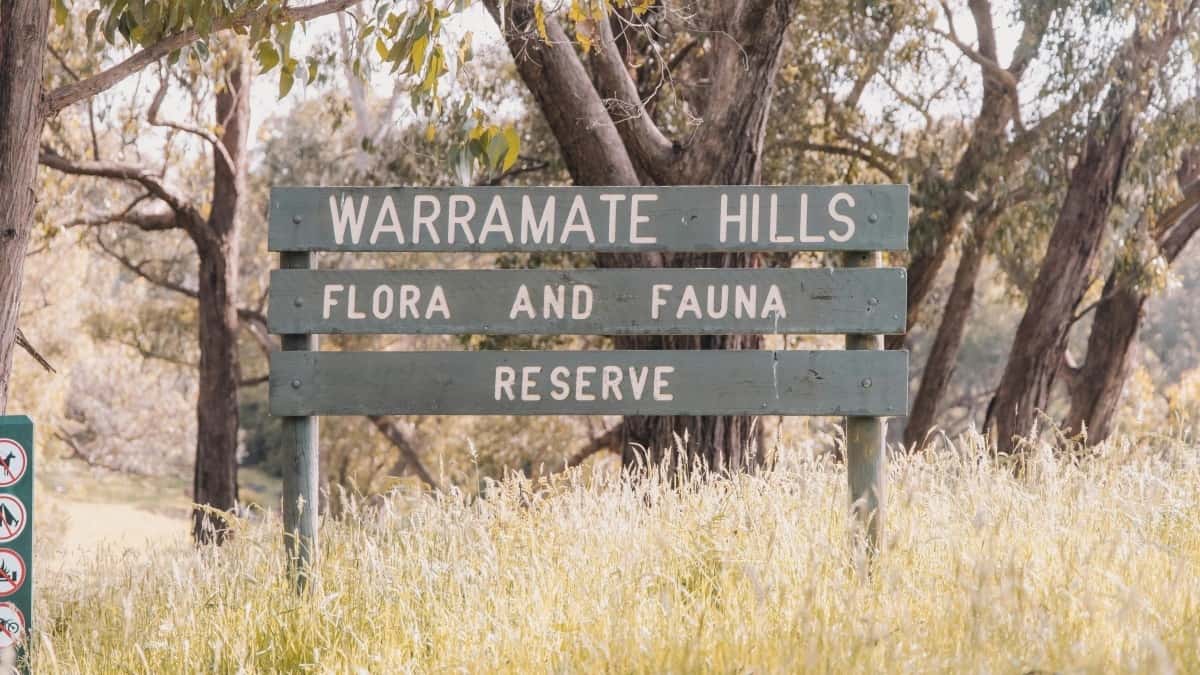 日本クリエイターがClubhouseでペルー企業に直談判する方法