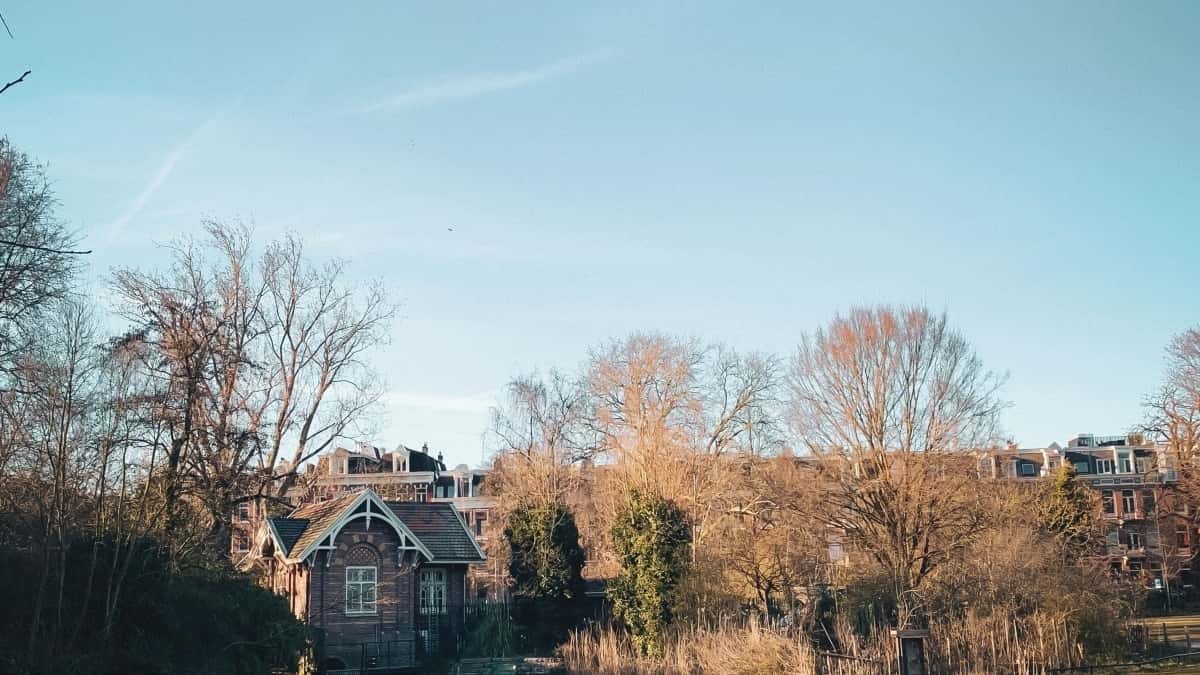 US Brands: Find Netherlands Lazada Creators Fast