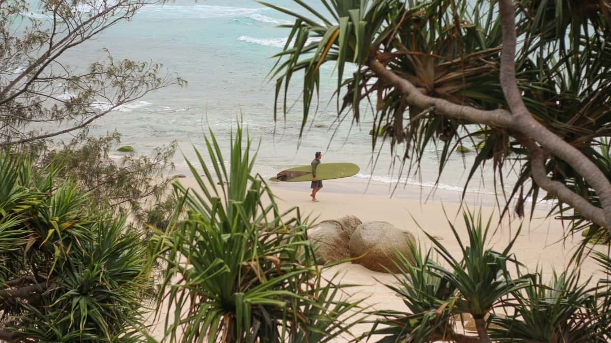 German creators: Pitch Panama brands on Twitter for wellness