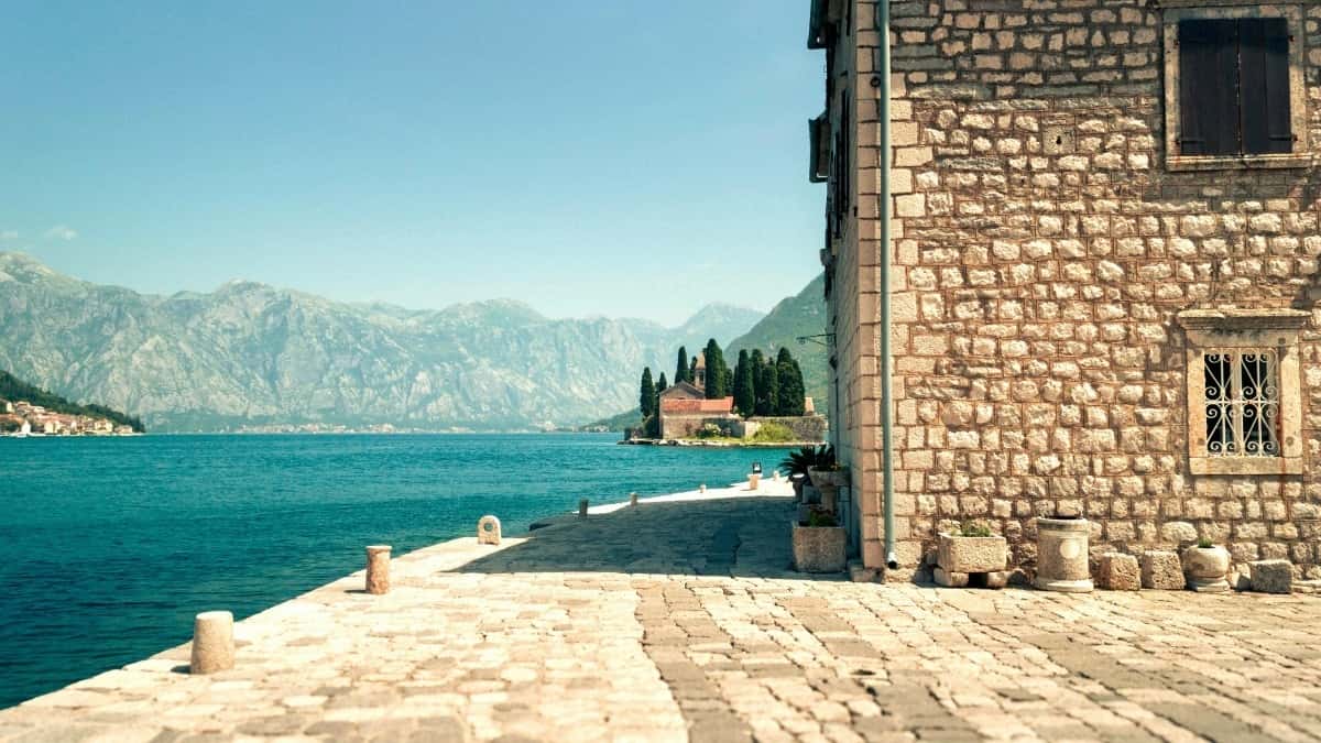 Reach Tunisia Brands on Hulu to Drive Course Signups