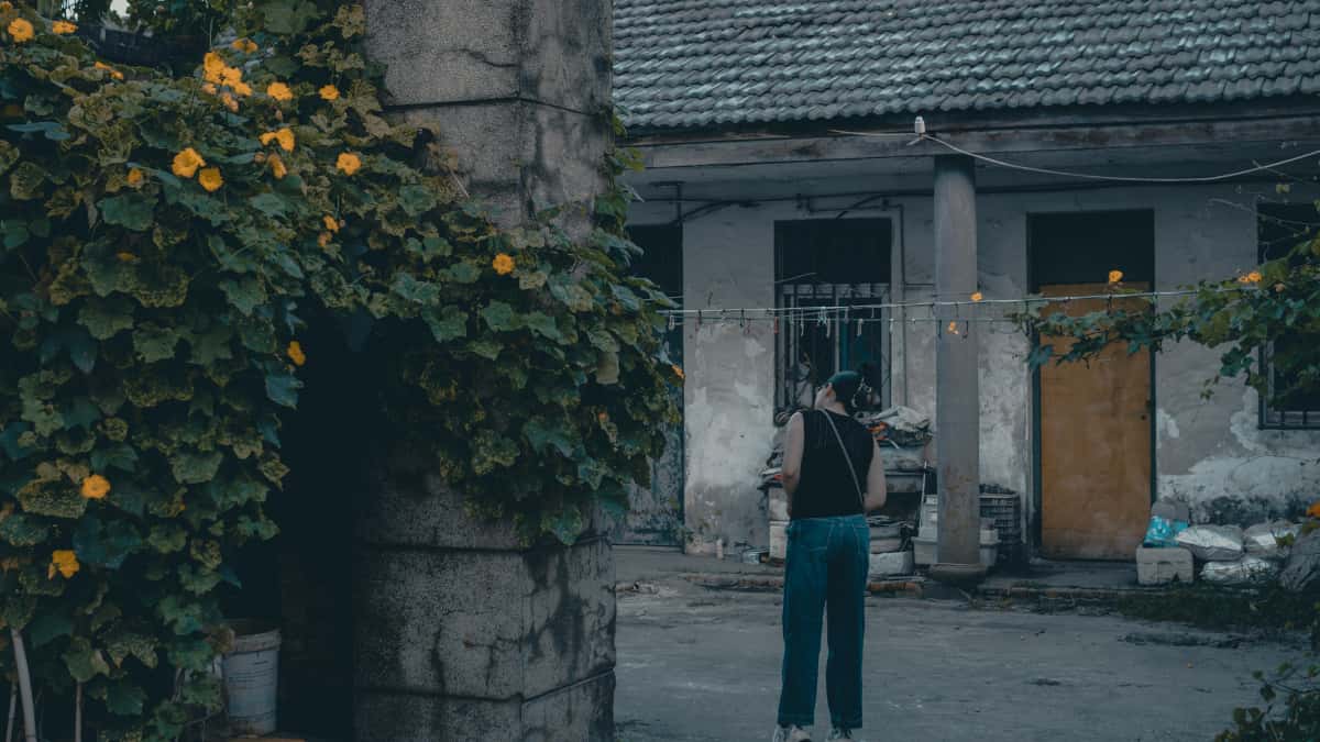 Find Turkey Bilibili Creators for Wellness Wins
